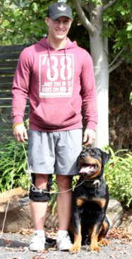 Breeding Working Rottweilers in Australia