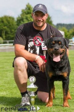 Breeding Working Rottweilers in Australia
